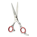 Personal Barber Kit for Grooming with Silver 6.5 Inch Scissors