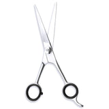 Personal Barber Kit with Silver 6.5-inch Scissors