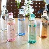 500ML Transparent Plastic Water Bottle with Leakproof Cap