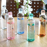 500ML Transparent Plastic Water Bottle with Leakproof Cap