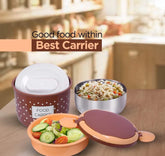 Double Layer Tiffon Lunch Box/Food Carrier