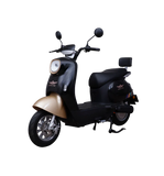 Super Star Alexa EV 2025 (Without Registration)