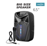 6.5 Inch LED Bluetooth Speaker with Microphone