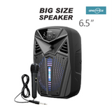 6.5 Inch LED Bluetooth Speaker with Microphone