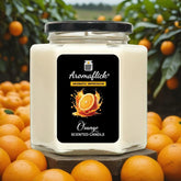 Orange Scented Candle in Hexagonal Jar