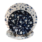 Claytan Crystal Blue (+VE) 18PCS PLATE SET