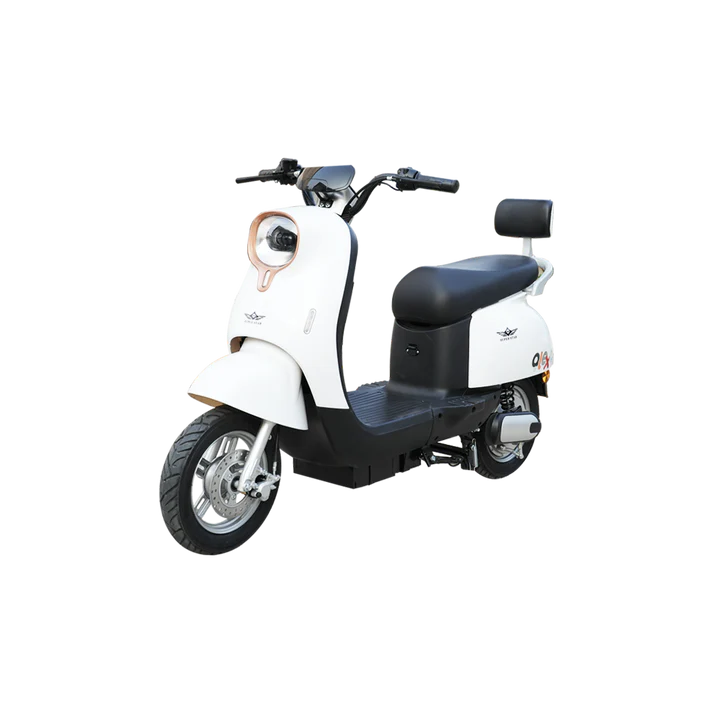 Super Star Alexa EV 2025 (Without Registration)