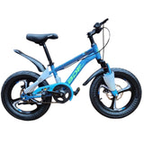 BDF Cycle Available In 2 Sizes - B6