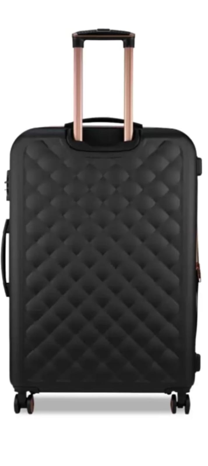IT Fashionista Hard Impact Premium Luggage