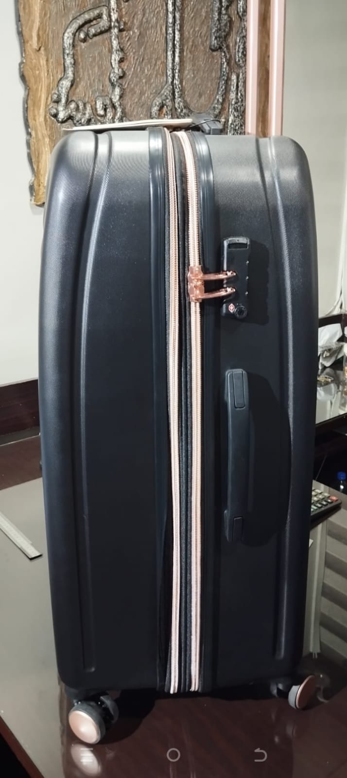 IT Fashionista Hard Impact Premium Luggage
