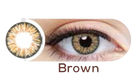 Optiano Daily Wear Plano Contact Lenses (Artificial) – Brown Colors Available