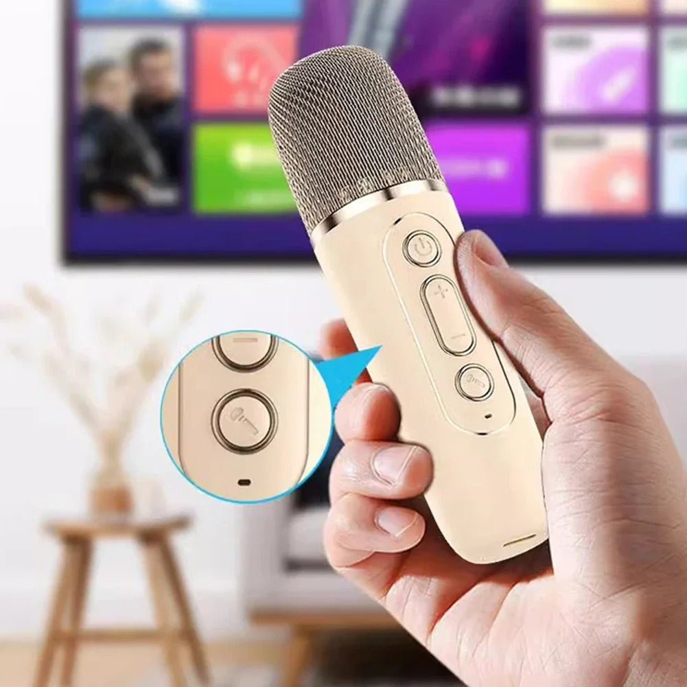 Portable Wireless Speaker With Dual Microphones