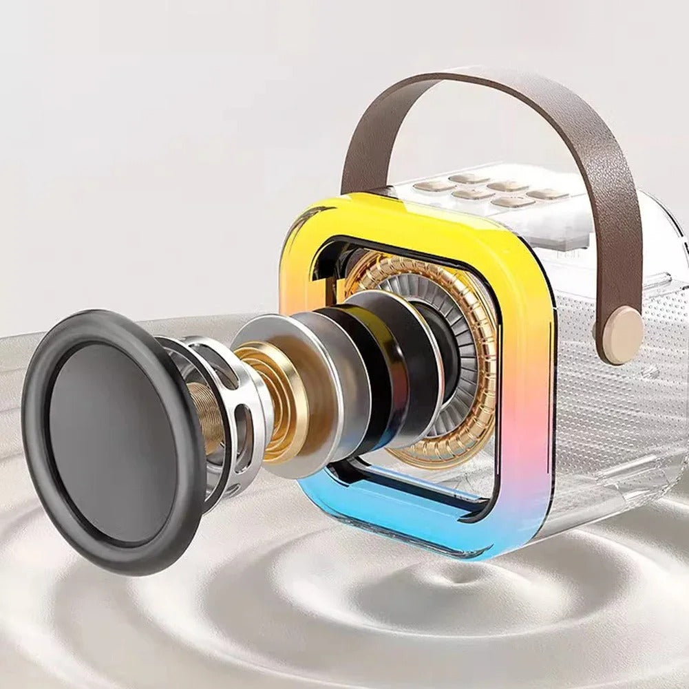 Portable Wireless Speaker With Dual Microphones