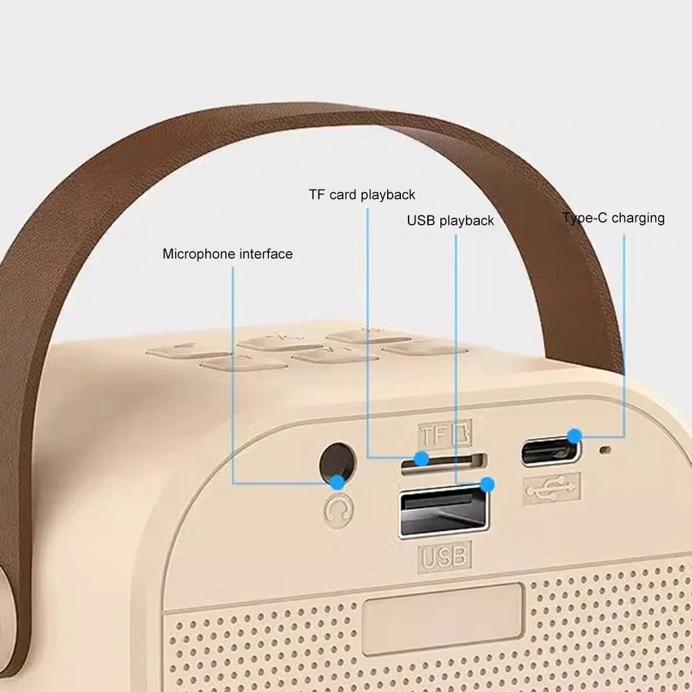 Portable Wireless Speaker With Dual Microphones
