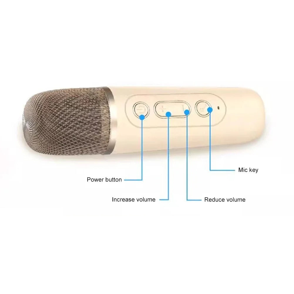 Portable Wireless Speaker With Dual Microphones