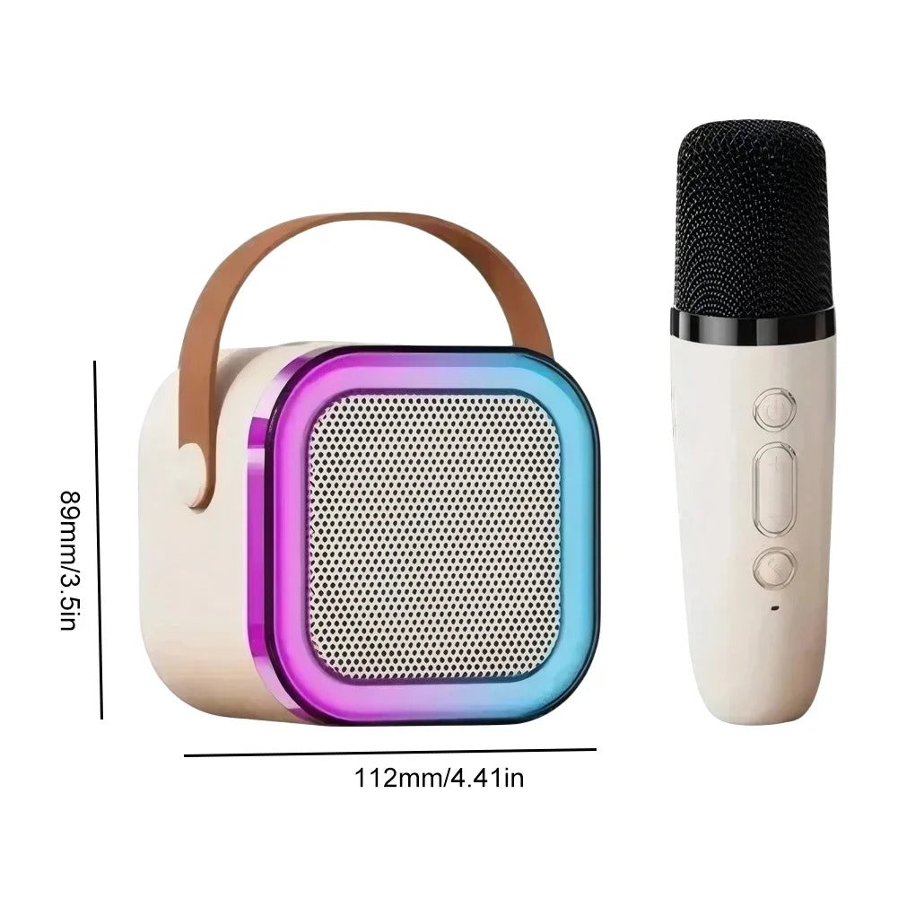Portable Wireless Speaker With Dual Microphones