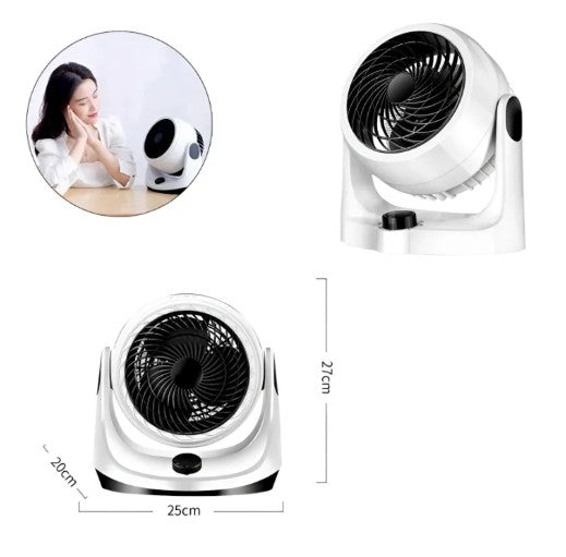 Fan Heater