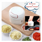 Mini 2 Blades Handy Chopper